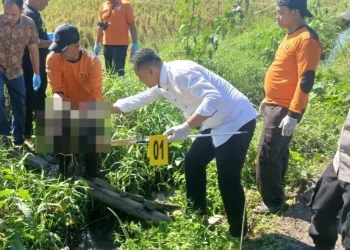 Jasad Bayi Laki-laki Ditemukan Mengapung di Irigasi Bululawang