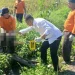 Jasad Bayi Laki-laki Ditemukan Mengapung di Irigasi Bululawang