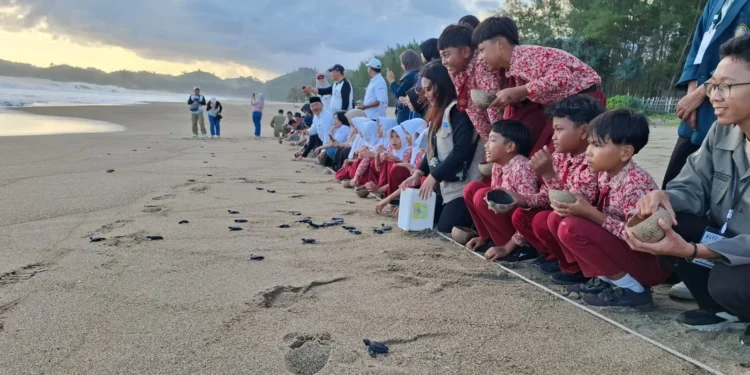 Pelepasan tukik di Pantai Bajulmati