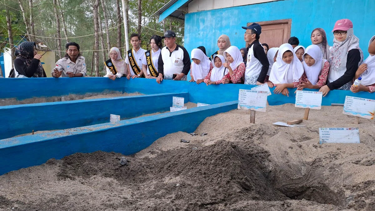 Edukasi tentang konservasi penyu