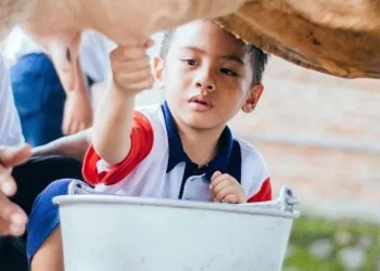 Menjelajah Sambil Belajar: 5 Wisata Edukasi di Kabupaten Malang yang Cocok Mengisi Libur Sekolah