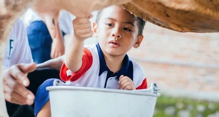 Menjelajah Sambil Belajar: 5 Wisata Edukasi di Kabupaten Malang yang Cocok Mengisi Libur Sekolah