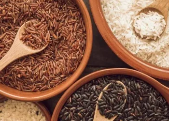 Perbedaan Beras Merah, Putih dan Hitam, Mana yang Kandungan Gizinya Lebih Baik?