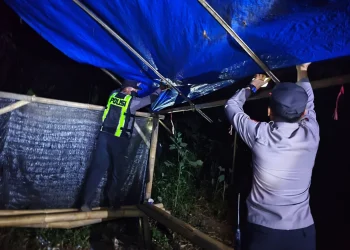 Polres Malang Bongkar Dua Arena Diduga Lokasi Judi Sabung Ayam di Singosari dan Gedangan