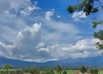 Prakiraan Cuaca Kota Malang Minggu 5 Juli 2026: Cerah Disertai Udara Kabur