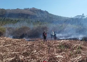 Tiga Kebakaran Terjadi di Kabupaten Malang dalam Sehari, Total Kerugian Capai Rp130 Juta