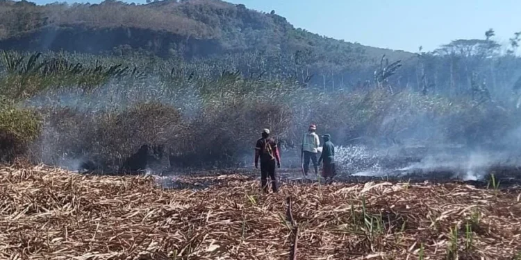 Tiga Kebakaran Terjadi di Kabupaten Malang dalam Sehari, Total Kerugian Capai Rp130 Juta