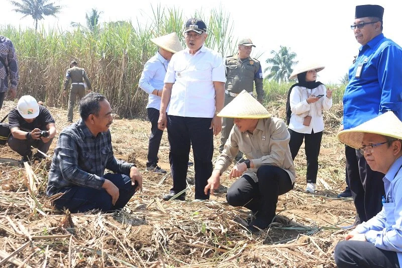 Wamenko Pangan Dorong Peningkatan Rendemen Tebu demi Capai Swasembada Gula
