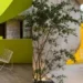 Kafe baru di Malang, OOOSTEREO dengan dominasi warna kuning dan MONOMUSIUM by OR dengan warna hijau, dua kafe di bawah satu manajemen. (Foto: Tiktok)