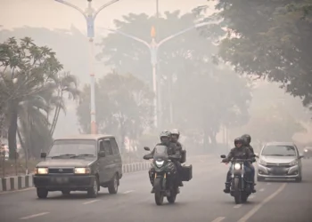 Akademisi UMM Ungkap Bahaya Asap Karhutla bagi Paru-Paru
