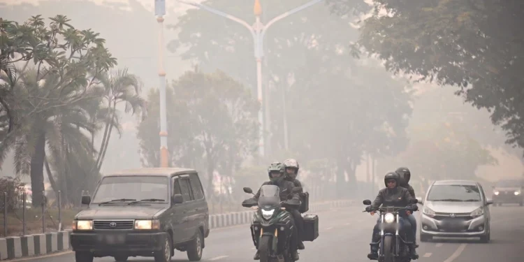 Akademisi UMM Ungkap Bahaya Asap Karhutla bagi Paru-Paru