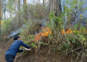 BPBD Batu Ingatkan Pendaki Tak Buang Puntung Rokok di Gunung