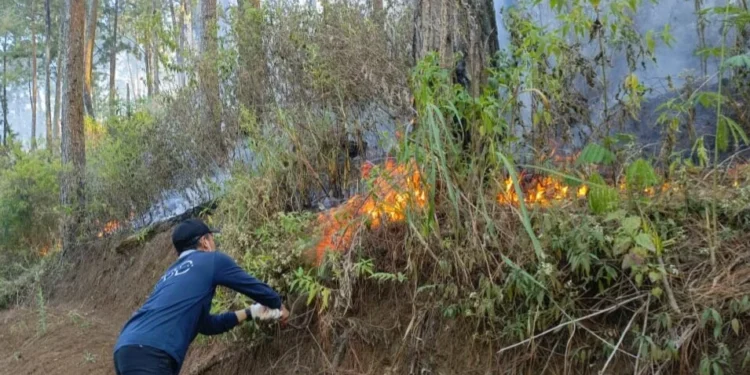 BPBD Batu Ingatkan Pendaki Tak Buang Puntung Rokok di Gunung