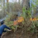 BPBD Batu Ingatkan Pendaki Tak Buang Puntung Rokok di Gunung