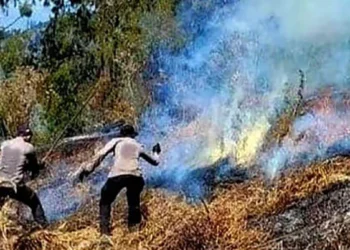 BPBD Kota Batu Tetapkan Tiga Kawasan Rawan Karhutla