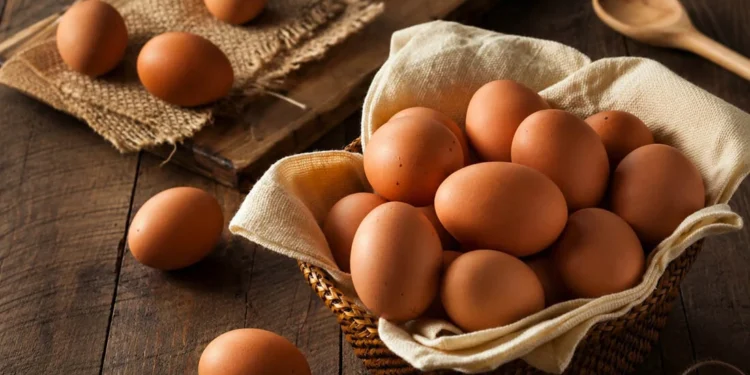 Cara Memilih Telur Ayam Segar agar Aman Dikonsumsi, Kenali Tanda-Tandanya