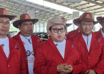 Harga Daging Sapi Naik, Kementan Sebut Dipengaruhi Tren Global