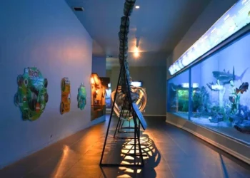 Jelajahi Kehidupan Bawah Laut hingga 2.000 Meter di Museum Satwa Jatim Park 2