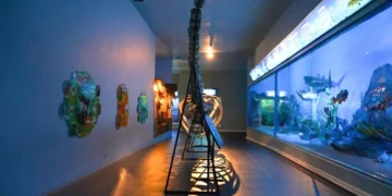 Jelajahi Kehidupan Bawah Laut hingga 2.000 Meter di Museum Satwa Jatim Park 2