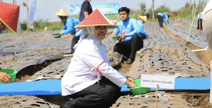 Kabupaten Malang Dapat 80 Ton Benih Bawang Putih