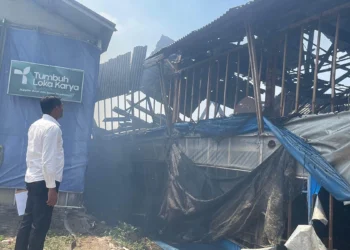 Kandang Ayam di Kota Batu Ludes Terbakar, Kerugian Capai Rp600 Juta