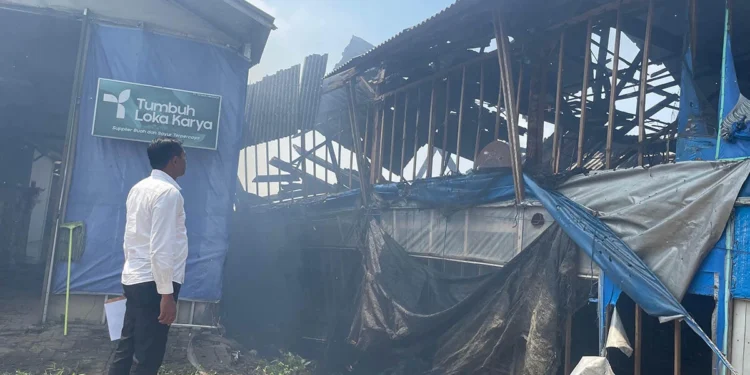Kandang Ayam di Kota Batu Ludes Terbakar, Kerugian Capai Rp600 Juta