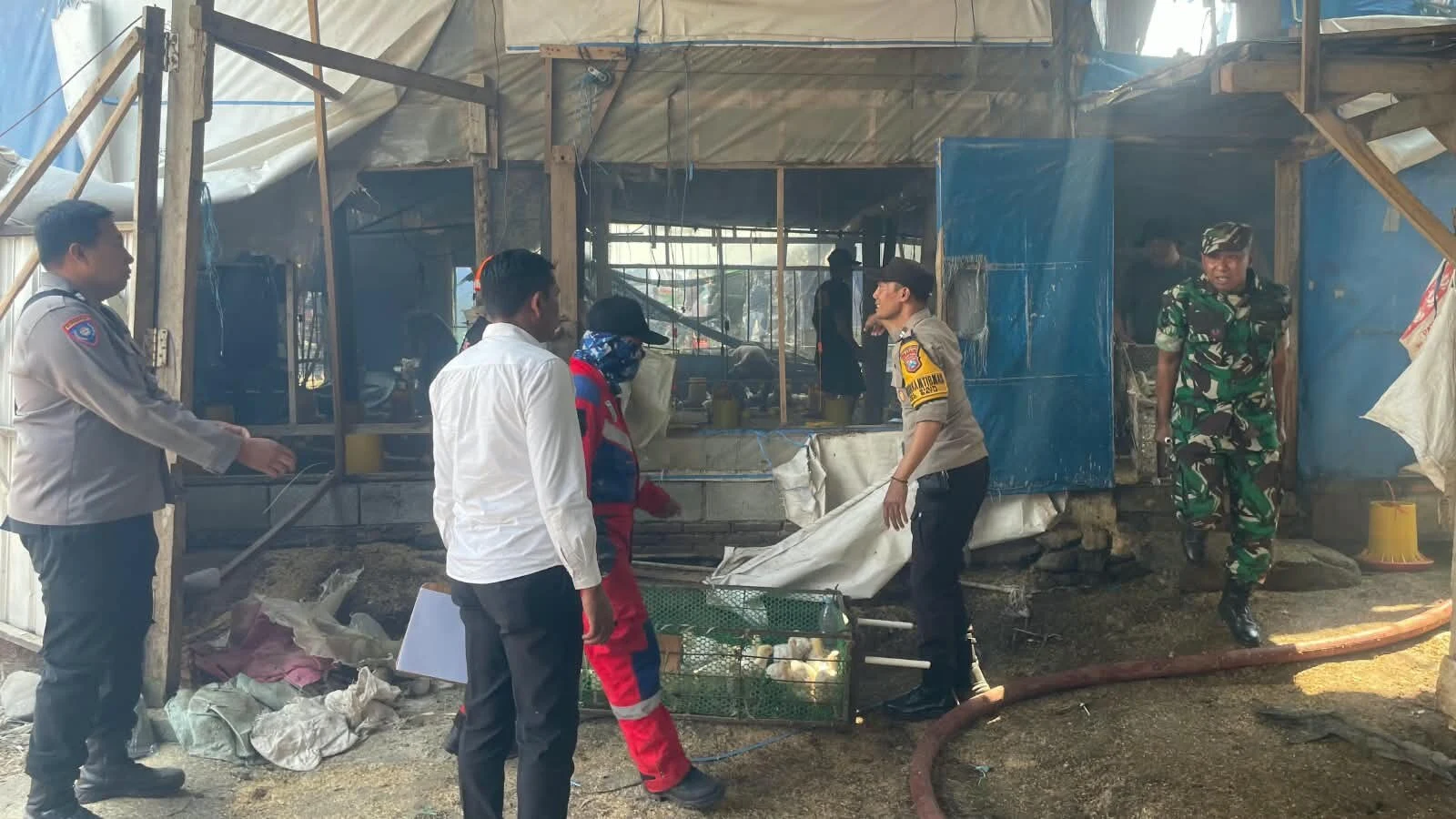 Kandang Ayam di Kota Batu Ludes Terbakar, Kerugian Capai Rp600 Juta