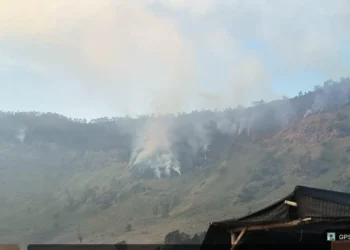 Kebakaran Hutan, Akses ke Savana Bromo Ditutup Sementara