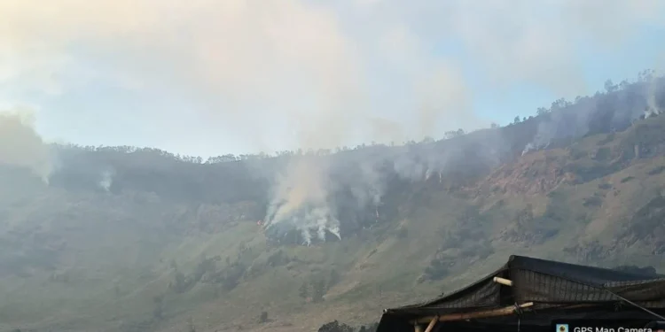 Kebakaran Hutan, Akses ke Savana Bromo Ditutup Sementara