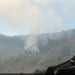 Kebakaran Hutan, Akses ke Savana Bromo Ditutup Sementara