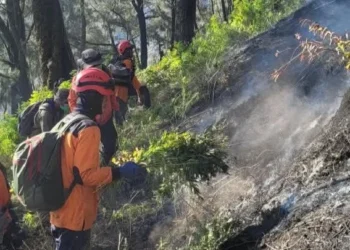 Kebakaran Hutan di Kota Batu Padam Total