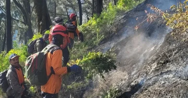 Kebakaran Hutan di Kota Batu Padam Total