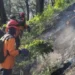 Kebakaran Hutan di Kota Batu Padam Total