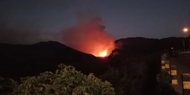 Kebakaran Makin Meluas, Semua Pintu Masuk Wisata Bromo Ditutup