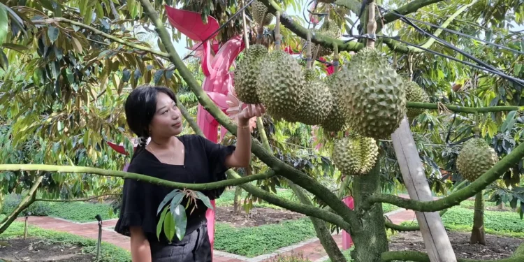 Kunjungan Wisatawan Melonjak, Realisasi Pajak Hiburan Kota Batu Tembus 83 Persen