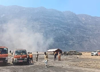 Luas Kebakaran Bromo Capai 742,70 Hektare