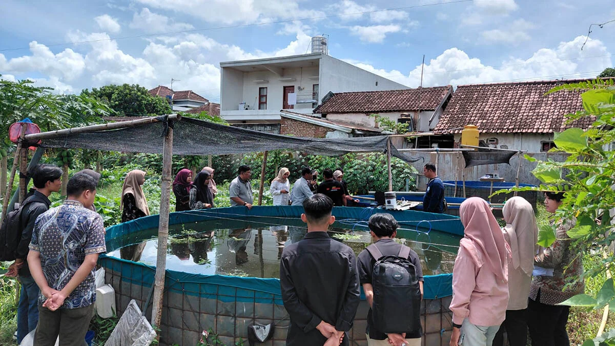 Mahasiswa Unikama Terapkan Smart Farming Untuk Budidaya Ikan Di Kepanjen 69