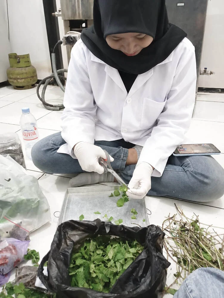 Mahasiswi Itn Malang Raih Juara 2 Icai 2026 Lewat Kopi Herbal Biji Pepaya 36