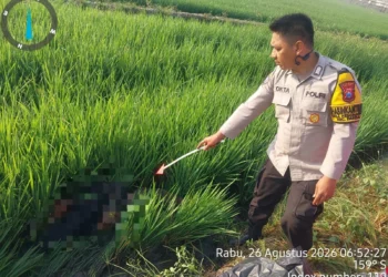 Pelajar Tewas Tertemper Kereta Malabar di Pakisaji Malang