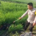Pelajar Tewas Tertemper Kereta Malabar di Pakisaji Malang