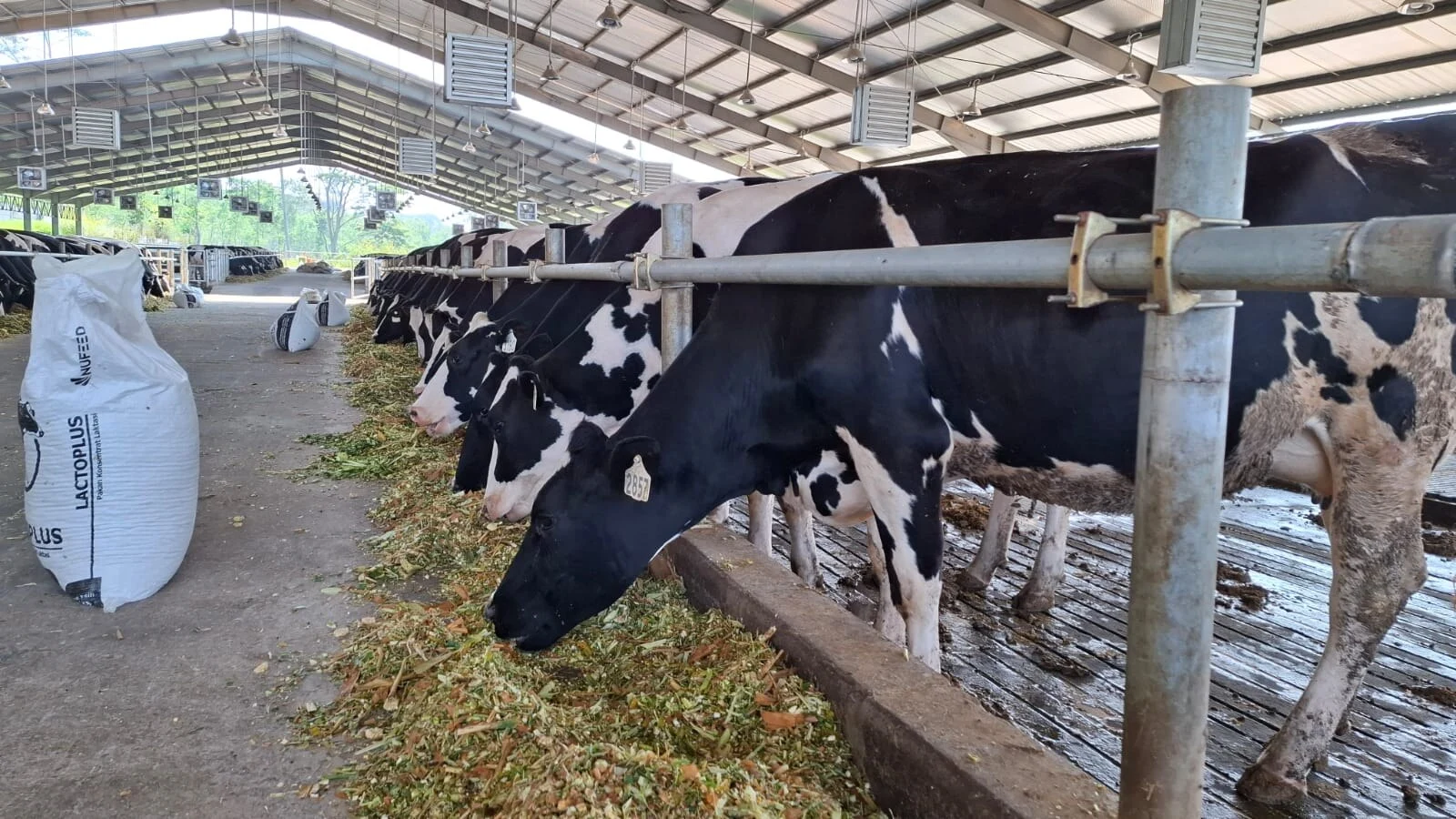 Pemerintah Targetkan Swasembada Susu Nasional pada 2030