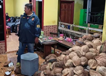 Polisi Tangkap Pria di Gedangan yang Aniaya Warga Pakai Kelapa dan Kayu