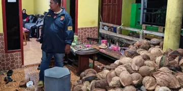 Polisi Tangkap Pria di Gedangan yang Aniaya Warga Pakai Kelapa dan Kayu