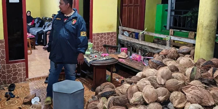 Polisi Tangkap Pria di Gedangan yang Aniaya Warga Pakai Kelapa dan Kayu