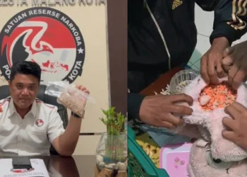 Polisi Temukan 1.360 Ekstasi dalam Boneka di Rumah Jaringan Narkoba