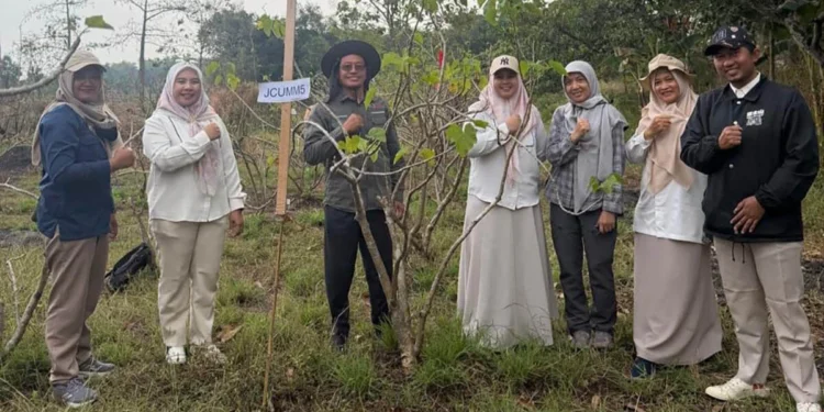 UMM Jaga Varietas Jarak Pagar JCUMM5 untuk Pengembangan Bioenergi