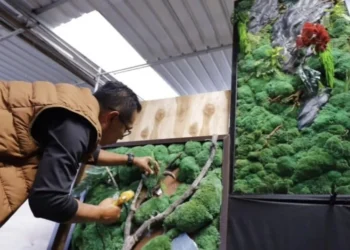 Moss Art Desa Sidomulyo Tembus Pasar Nasional
