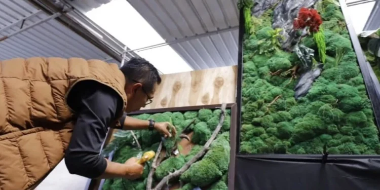 Moss Art Desa Sidomulyo Tembus Pasar Nasional