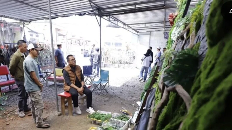 Moss Art Desa Sidomulyo Tembus Pasar Nasional