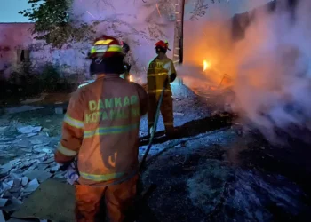 14 Kebakaran Lahan Terjadi di Kota Malang dalam Sepekan